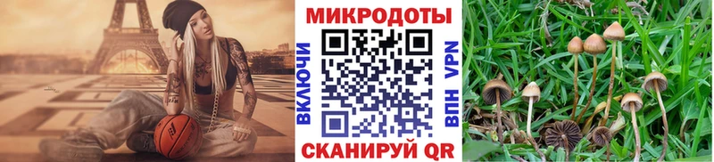 Купить закладки  Минусинск  Псилоцибиновые грибы GOLDEN TEACHER 